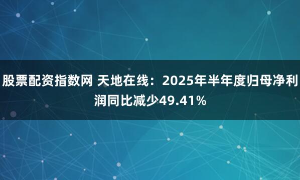 股票配资指数网 天地在线：2025年半年度归母净利润同比减少49.41%