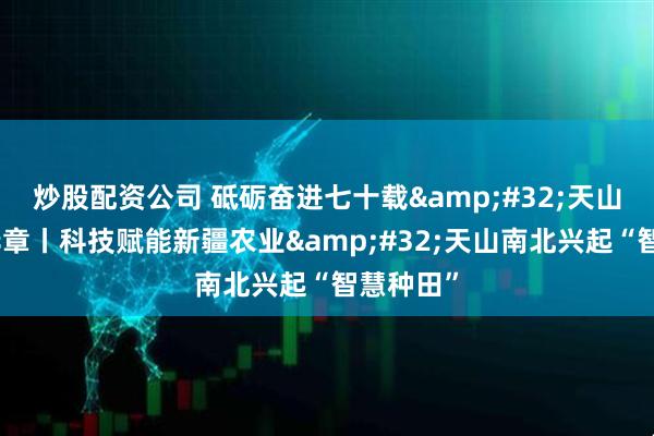 炒股配资公司 砥砺奋进七十载 天山南北谱华章丨科技赋能新疆农业 天山南北兴起“智慧种田”